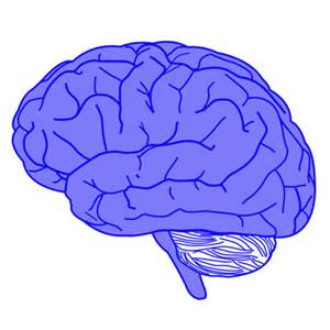 brain-stimulates-thirst-before-sleep