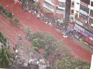 dhaka-blood-2