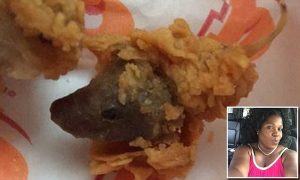 rats-head-fried-chicken-popeyes-in-harlem